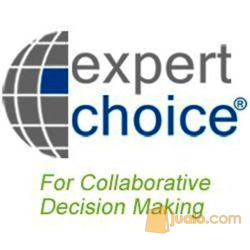 expert choice ahp software
